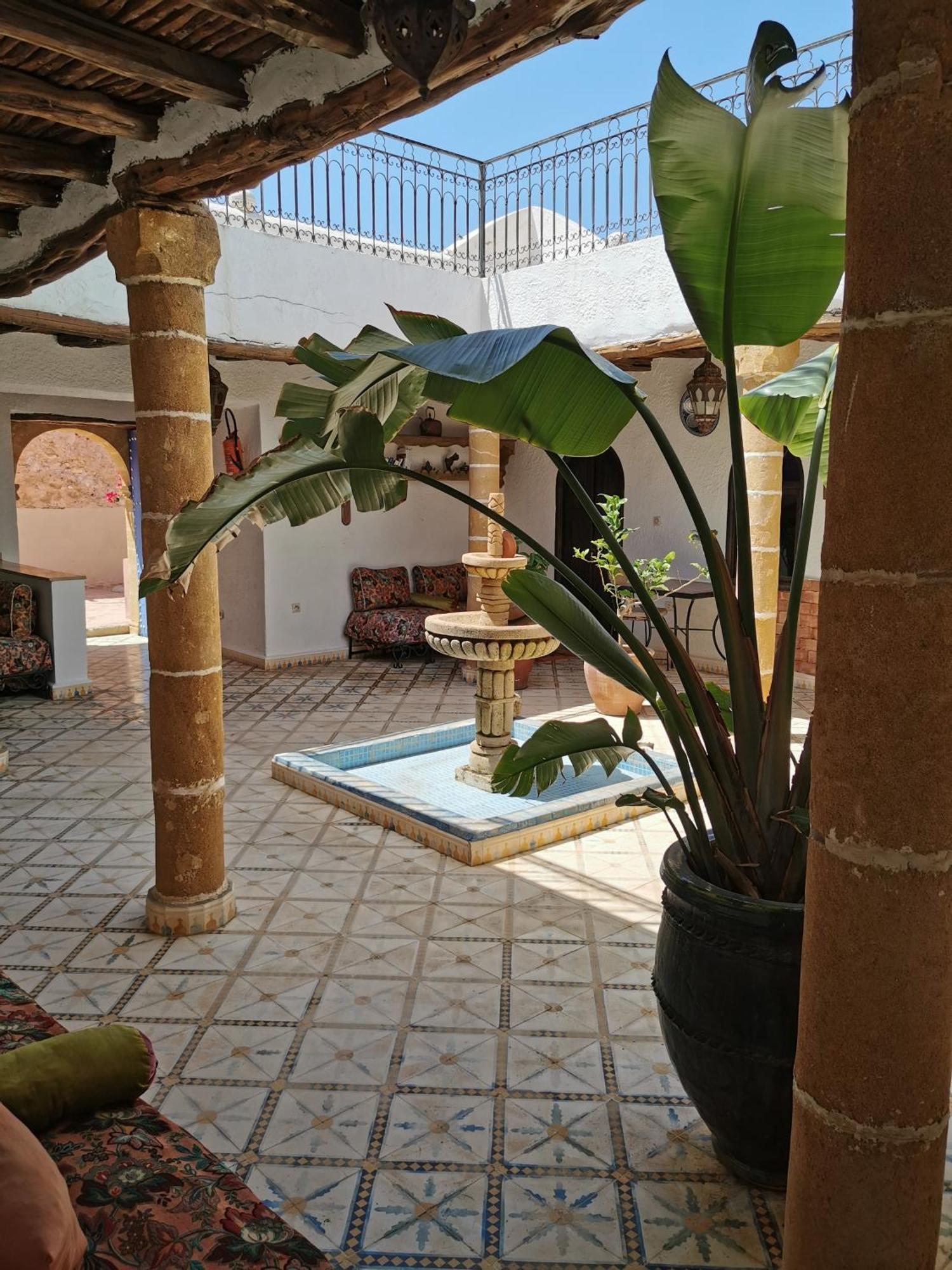 Riad Eucalyptus Есувейра Екстериор снимка