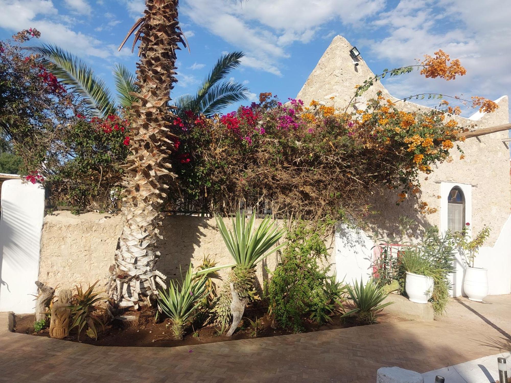 Riad Eucalyptus Есувейра Екстериор снимка