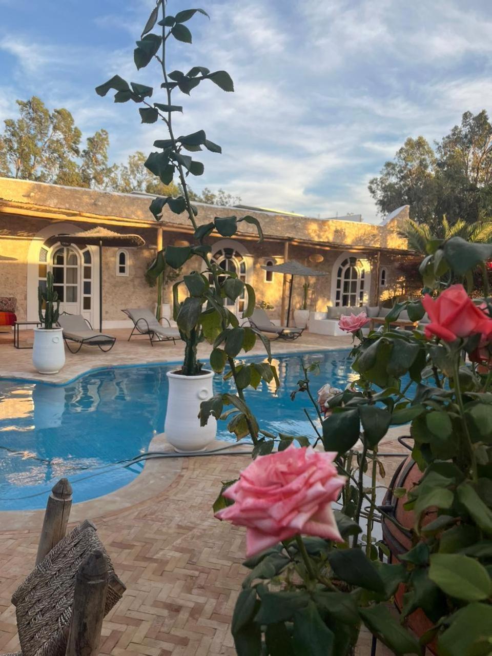 Riad Eucalyptus Есувейра Екстериор снимка