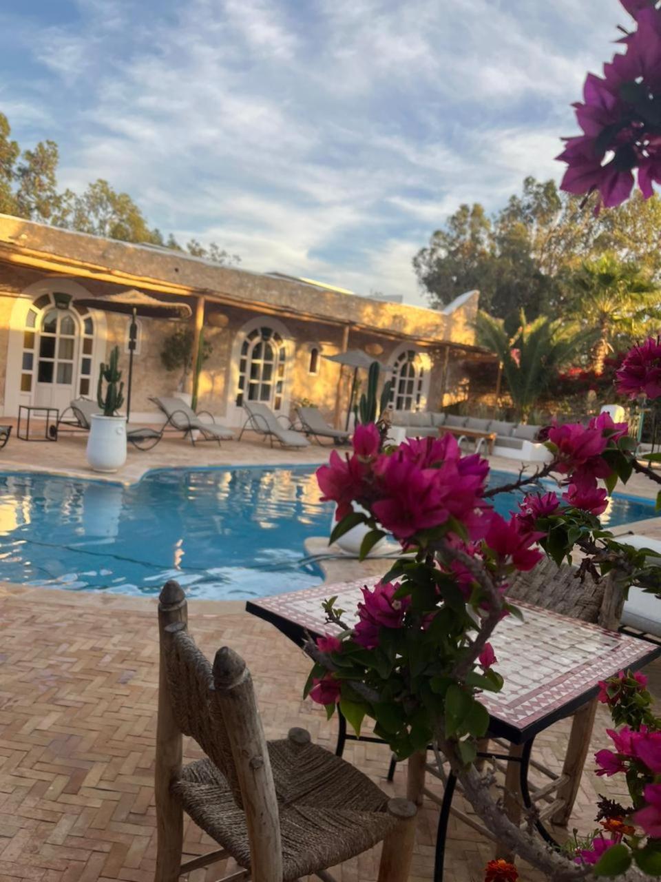 Riad Eucalyptus Есувейра Екстериор снимка