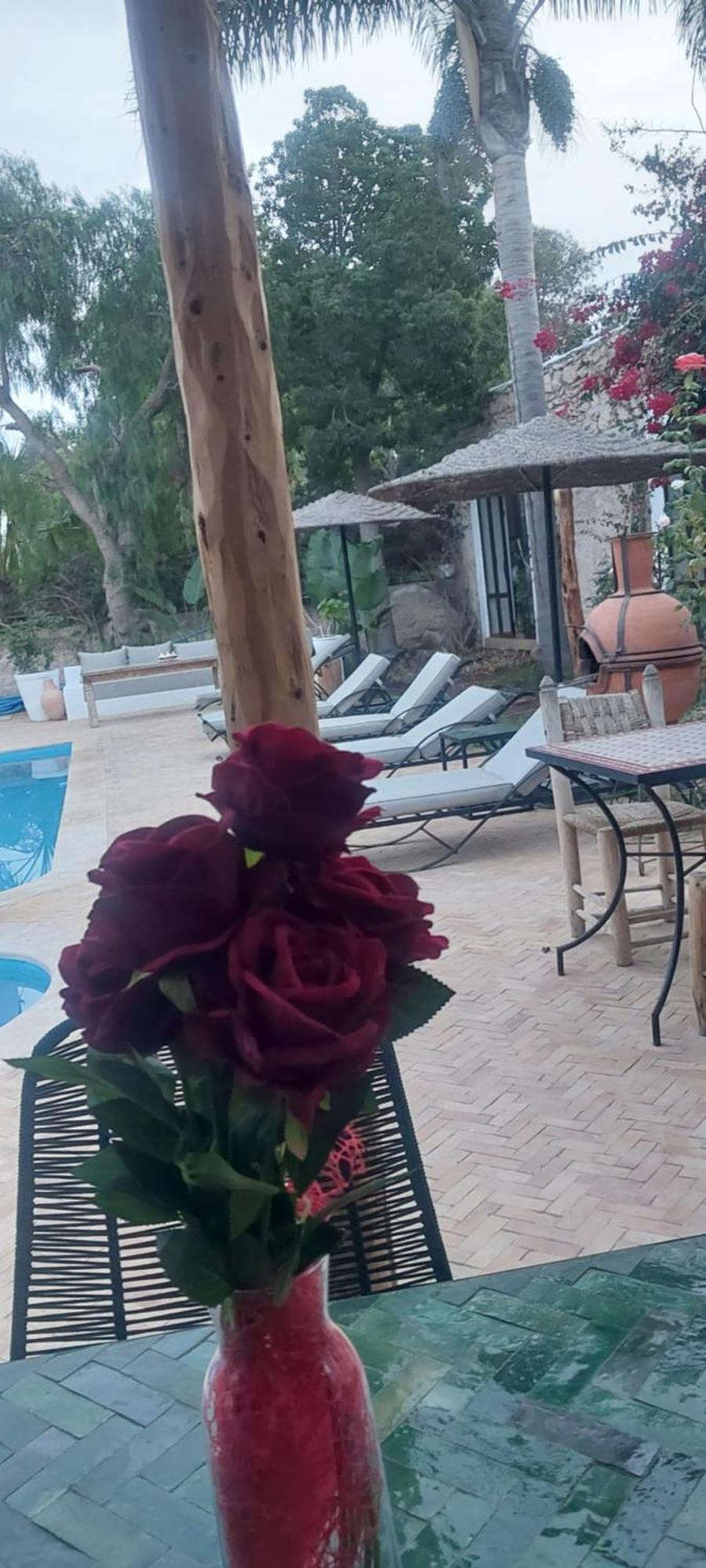 Riad Eucalyptus Есувейра Екстериор снимка