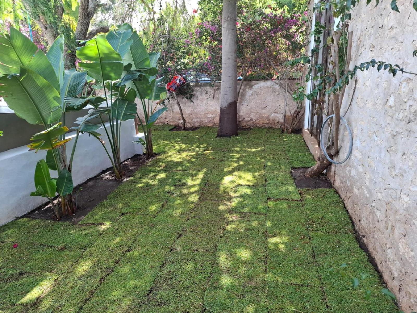 Riad Eucalyptus Есувейра Екстериор снимка